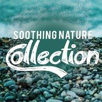 Soothing Nature Collection