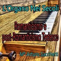 L'organo nei secoli: Romanticismo e post-romanticismo tedesco, vol. 1