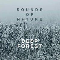 Sounds of Nature: Deep Forest