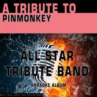 A Tribute to Pinmonkey