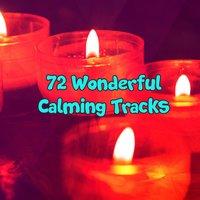72 Wonderful Calming Tracks