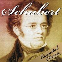 Schubert: Essential Classic