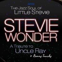 The Jazz Soul of Little Stevie / A Tribute to Uncle Ray