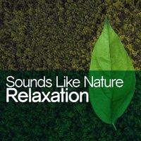 Sounds Like Nature Relaxation