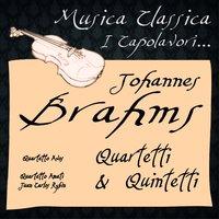 Johannes Brahms: Quartetti & Quintetti
