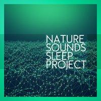 Nature Sounds Sleep Project