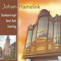 Standaard-Orgel Geref. Kerk Zaamslag