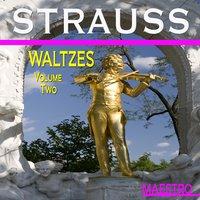 Strauss: Waltzes, Vol. II