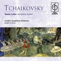 Tchaikovsky: Swan Lake, Op. 20, Act 2: No. 14, Scene. Moderato