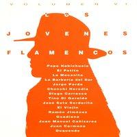 Los Jóvenes Flamencos, Vol. 6
