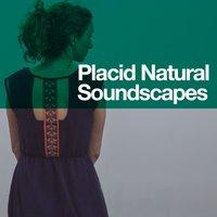Placid Natural Soundscapes