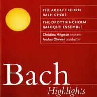 J.S. Bach - Higlights -  Adolf Fredik Bach Choir