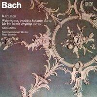Bach: "Weichet nur, betrübte Schatten", BWV 202 - "Ich bin in mir vergnügt", BWV 204