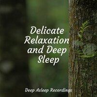 Delicate Relaxation and Deep Sleep