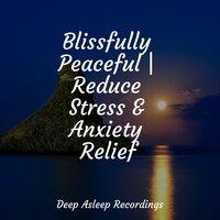 Blissfully Peaceful | Reduce Stress & Anxiety Relief