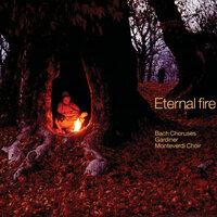 Eternal fire - Bach Choruses
