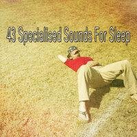 43 Specialised Sounds for Sle - EP