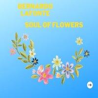 Soul of Flowers