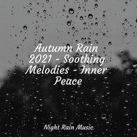 Autumn Rain 2021 - Soothing Melodies - Inner Peace