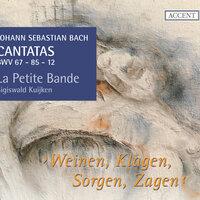 Bach: Cantatas, Vol. 11