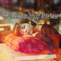 66 Full Relaxation Through White Noise
