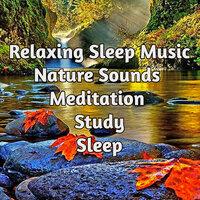 Relaxing Sleep Music with Nature Sounds