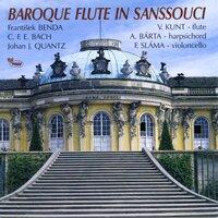 Baroque Flute in Sanssouci