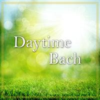Daytime Bach