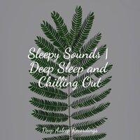 Sleepy Sounds | Deep Sleep and Chilling Out