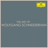 The Art of Wolfgang Schneiderhan