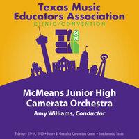 2015 Texas Music Educators Association (TMEA): McMeans Junior High Camerata Orchestra
