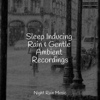 Sleep Inducing Rain & Gentle Ambient Recordings