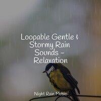 Loopable Gentle & Stormy Rain Sounds - Relaxation
