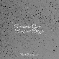 Relaxation Guide - Rainforest Drizzle