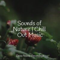 Sounds of Nature | Chill Out Music