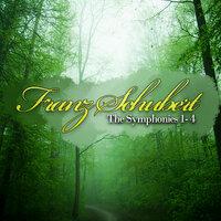 Franz Schubert: The Symphonies 1, 2, 3 & 4