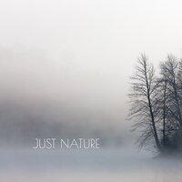 Just Nature