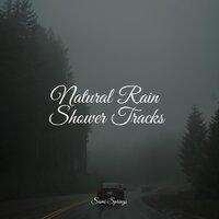 Natural Rain Shower Tracks