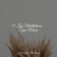 35 Zen Meditations - Spa Music