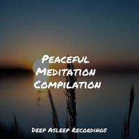 Peaceful Meditation Compilation