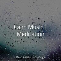 Calm Music | Meditation