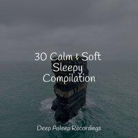 30 Calm & Soft Sleepy Compilation