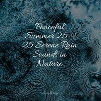 Peaceful Summer 25 - 25 Serene Rain Sounds in Nature