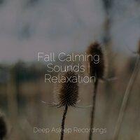 Fall Calming Sounds | Relaxation