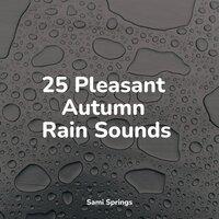 25 Pleasant Autumn Rain Sounds