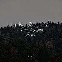 25 Stress Rain Sounds - Calm & Stress Relief