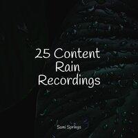 25 Content Rain Recordings
