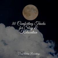30 Comforting Tracks for Sleep & Relaxation