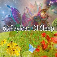 63 Payload of Sleep