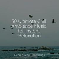 30 Ultimate Chill Ambience Music for Instant Relaxation